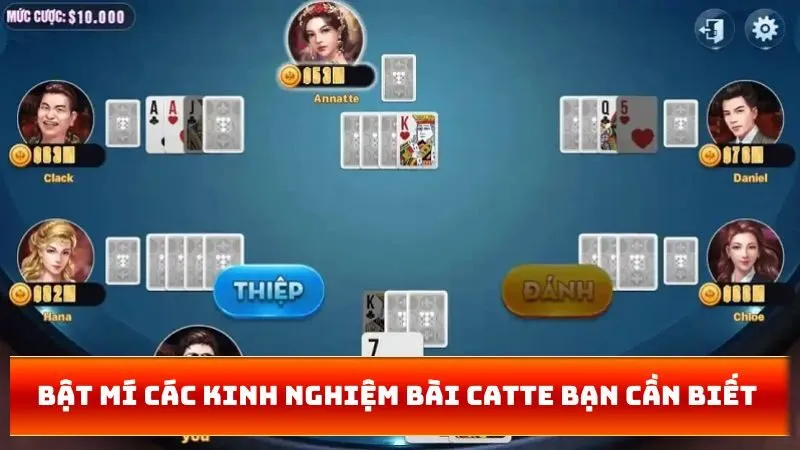 Bật mí các kinh nghiệm bài catte bạn cần biết 