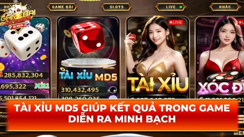 Tài xỉu md5 giúp kết quả trong game diễn ra minh bạch